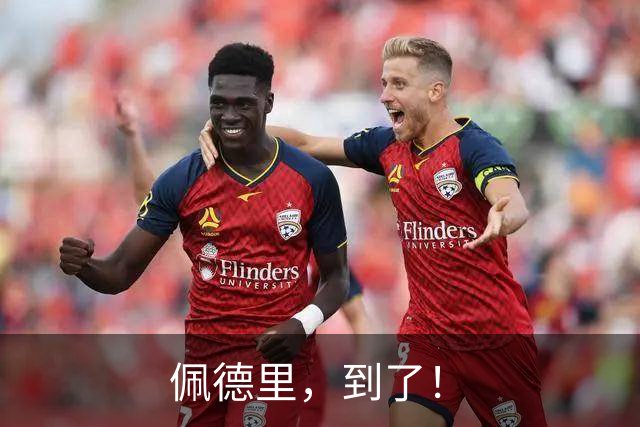 佩德里，到了！