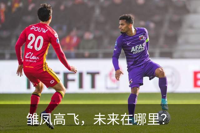 雏凤高飞，未来在哪里？