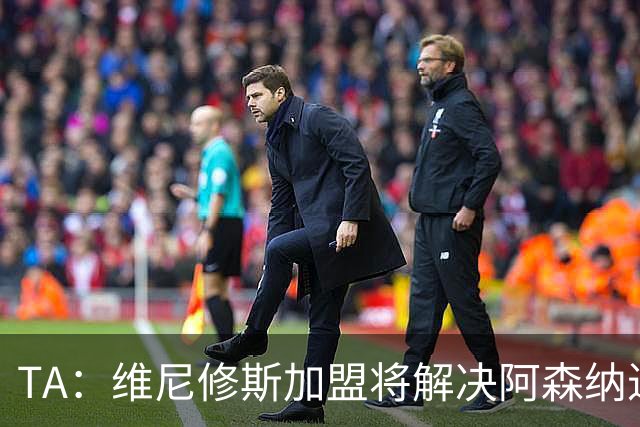 TA：维尼修斯加盟将解决阿森纳进攻右倾问题，但他在防守端存短板